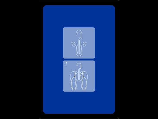 Gancho Multiusos para calzado vista 2